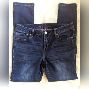 EUC Chip & Pepper SYD Skinny medium wash lighter distressed wash through thighs